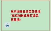 东京城林业局灵芝基地(东京城林业局打造灵芝基地)