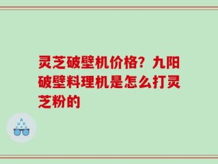 灵芝破壁机价格？九阳破壁料理机是怎么打灵芝粉的