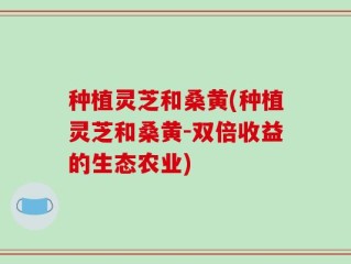 种植灵芝和桑黄(种植灵芝和桑黄-双倍收益的生态农业)