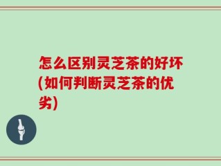 怎么区别灵芝茶的好坏(如何判断灵芝茶的优劣)