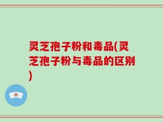 灵芝孢子粉和毒品(灵芝孢子粉与毒品的区别)