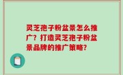 灵芝孢子粉盆景怎么推广？打造灵芝孢子粉盆景品牌的推广策略？