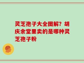 灵芝孢子大全图解？胡庆余堂里卖的是哪种灵芝孢子粉