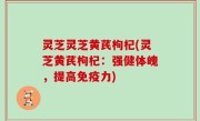 灵芝灵芝黄芪枸杞(灵芝黄芪枸杞：强健体魄，提高免疫力)