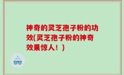 神奇的灵芝孢子粉的功效(灵芝孢子粉的神奇效果惊人！)