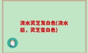浇水灵芝发白色(浇水后，灵芝变白色)