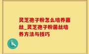 灵芝孢子粉怎么培养菌丝_灵芝孢子粉菌丝培养方法与技巧