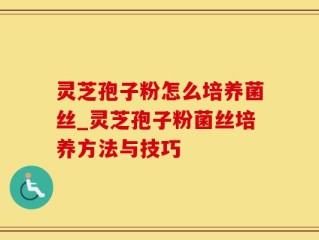 灵芝孢子粉怎么培养菌丝_灵芝孢子粉菌丝培养方法与技巧