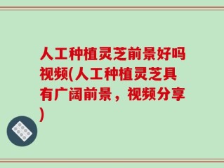 人工种植灵芝前景好吗视频(人工种植灵芝具有广阔前景，视频分享)