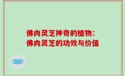 佛肉灵芝神奇的植物：佛肉灵芝的功效与价值