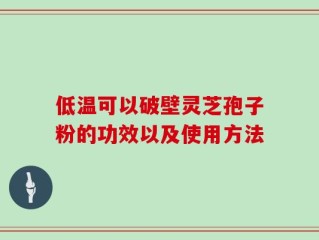 低温可以破壁灵芝孢子粉的功效以及使用方法