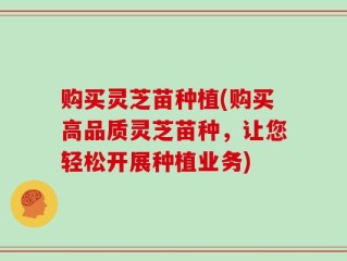 购买灵芝苗种植(购买高品质灵芝苗种，让您轻松开展种植业务)