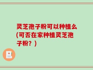 灵芝孢子粉可以种植么(可否在家种植灵芝孢子粉？)