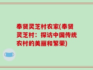 奉贤灵芝村农家(奉贤灵芝村：探访中国传统农村的美丽和繁荣)
