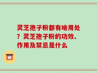 灵芝孢子粉都有啥用处？灵芝孢子粉的功效、作用及禁忌是什么