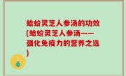 蛤蚧灵芝人参汤的功效(蛤蚧灵芝人参汤——强化免疫力的营养之选)