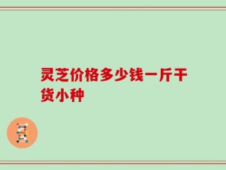 灵芝价格多少钱一斤干货小种