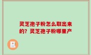 灵芝孢子粉怎么取出来的？灵芝孢子粉哪里产