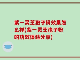 紫一灵芝孢子粉效果怎么样(紫一灵芝孢子粉的功效体验分享)