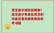 灵芝孢子保存在哪里？灵芝孢子究竟在灵芝的伞面还是伞底有相关参考书籍