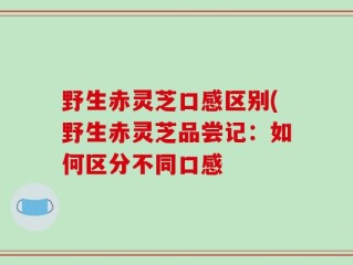 野生赤灵芝口感区别(野生赤灵芝品尝记：如何区分不同口感