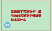 显微镜下灵芝孢子？最有效的灵芝孢子粉破壁技术是什么