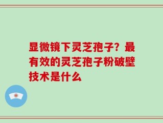 显微镜下灵芝孢子？最有效的灵芝孢子粉破壁技术是什么