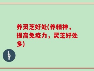 养灵芝好处(养精神，提高免疫力，灵芝好处多)