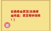 云南老山灵芝(云南老山珍品：灵芝奇妙功效！)