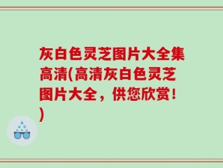 灰白色灵芝图片大全集高清(高清灰白色灵芝图片大全，供您欣赏！)