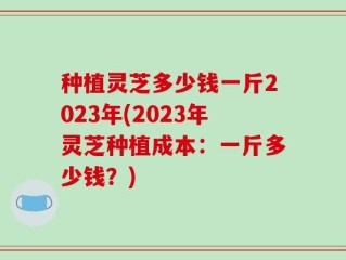种植灵芝多少钱一斤2023年(2023年灵芝种植成本：一斤多少钱？)