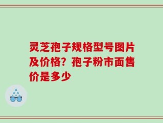 灵芝孢子规格型号图片及价格？孢子粉市面售价是多少
