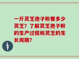 一斤灵芝孢子粉要多少灵芝？了解灵芝孢子粉的生产过程和灵芝的生长周期？