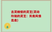 古灵精怪的灵芝(灵动玲珑的灵芝：另类风情出击)