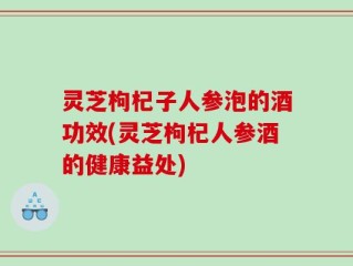 灵芝枸杞子人参泡的酒功效(灵芝枸杞人参酒的健康益处)