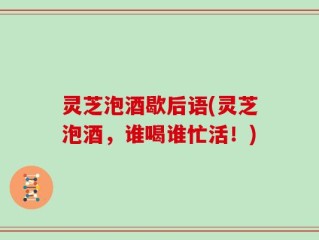 灵芝泡酒歇后语(灵芝泡酒，谁喝谁忙活！)
