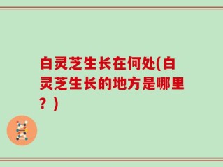 白灵芝生长在何处(白灵芝生长的地方是哪里？)