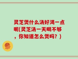 灵芝煲什么汤好渴一点呢(灵芝汤一天喝不够，你知道怎么煲吗？)