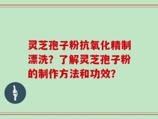 灵芝孢子粉抗氧化精制漂洗？了解灵芝孢子粉的制作方法和功效？