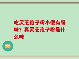 吃灵芝孢子粉小便有股味？真灵芝孢子粉是什么味