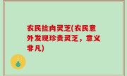农民捡肉灵芝(农民意外发现珍贵灵芝，意义非凡)