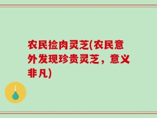农民捡肉灵芝(农民意外发现珍贵灵芝，意义非凡)