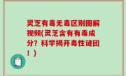 灵芝有毒无毒区别图解视频(灵芝含有有毒成分？科学揭开毒性谜团！)