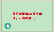 灵芝观景酒店(灵芝山顶，云海观景！)