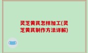 灵芝黄芪怎样加工(灵芝黄芪制作方法详解)