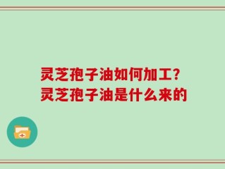 灵芝孢子油如何加工？灵芝孢子油是什么来的