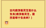 古代鹿顶着灵芝是什么生肖(鹿顶着灵芝，居然是哪个生肖啊？)