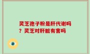 灵芝孢子粉是肝代谢吗？灵芝对肝脏有害吗