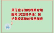 灵芝孢子油的相关介绍图片(灵芝孢子油：保护免疫系统的天然秘密)