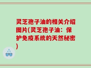 灵芝孢子油的相关介绍图片(灵芝孢子油：保护免疫系统的天然秘密)